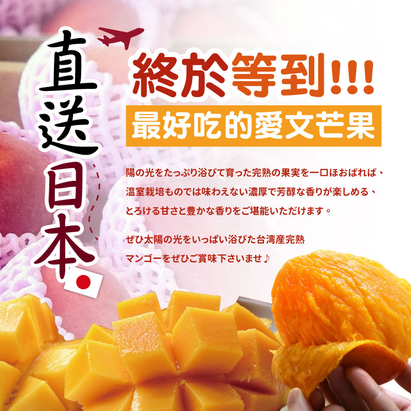 美味開始します！】- 産直・台湾産・愛文マンゴー 5KG-日本@_日本直送