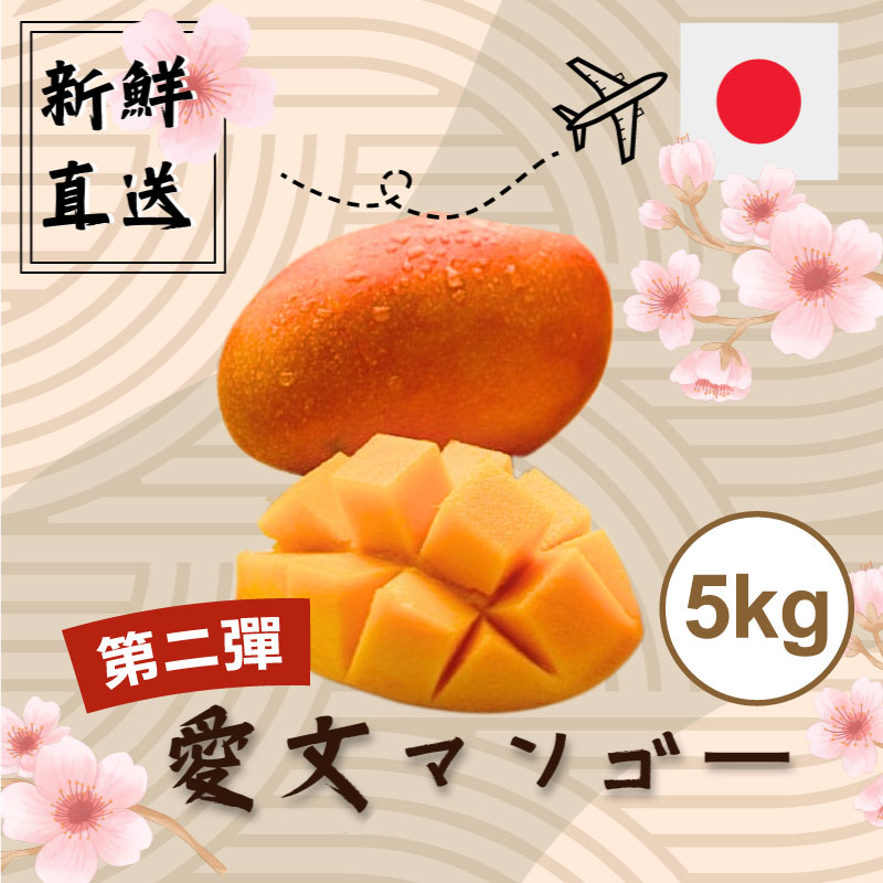 今、人気預約中】【青甜好品】- 産直・台湾産・厳選ナツメ 2.5(kg)キロ