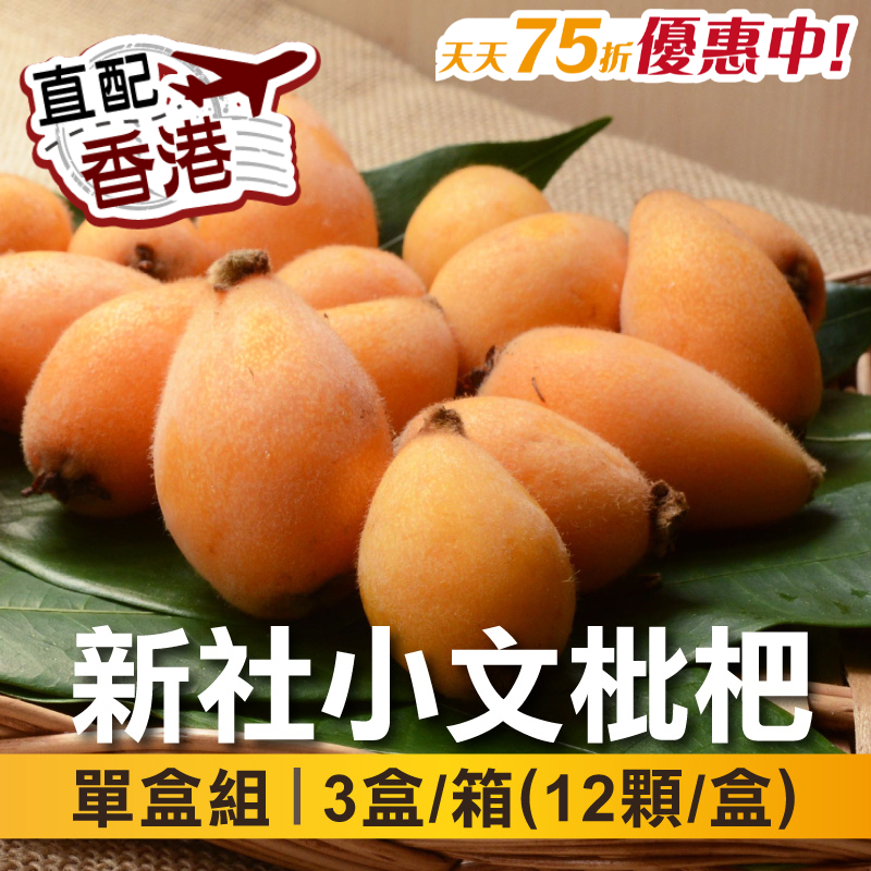 台中新社小文枇杷(12粒)3盒組(共1.2公斤)-香港_台灣好農